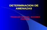 Ejemplo de Determinacion de Amenazas-Trabajo Practico-3ra Clase