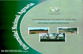 Sistemas Agroforestal Libro