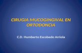 Cirugia Mucogingival en Ortodoncia 1206665930417219 4
