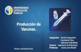 Producción de Vacunas,