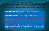 DILIGENCIAS PRELIMINARES - NCPP