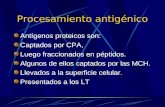 4. CMH - procesam antig.  ppt (2)