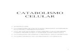 Tema 10. Catabolismo Celular