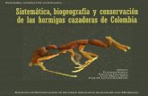 Hormigas Cazadoras Colombia