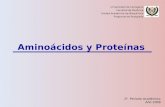 Aminoacidos Peptidos y Proteinas