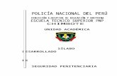 MODULO SEGURIDAD PENITENCIARIA Y FRONTERAS 2013 .MAY  LOPEZ.doc