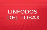 Linfonodos Del Torax