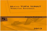 Lv Nuevo Tupa Sunat 16-08-2013