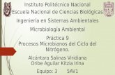 Práctica 9 microbiología seminario