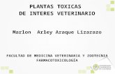 PLANTAS TOXICAS DE INTERES VETERINARIO