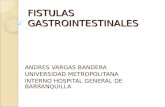 FISTULAS GASTROINTESTINALES ANDRES VARGAS.ppt