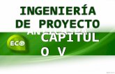 Cap.v Ingenieria de Proyecto