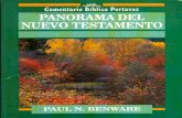 Panorama Del Nuevo Testamento (Paul N Benware) x Imagen97