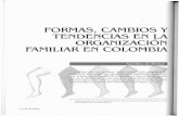 Formas Cambios y Tendencias en La Organizacion Familiar en Colombia