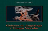 Guiones Angiologia (Libro)