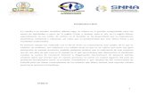 Proyecto de Tramites de Exportación de Cebolla Perla al mercado Colombiano