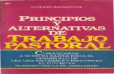 Alberto Barrientos - Principios y Alternativas de Trabajo Pastoral