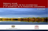 Estado Del Ambiente de La Amazonia Colombiana 2006