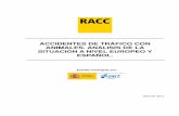 28592 Estudio de Accidentes Con Animales Definitivo - RACC (1)