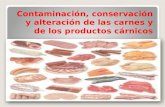 Contaminación, Conservación y Alteración De Las Carnes - Diapositivas