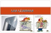 Las Laminas 15 Diapositivas