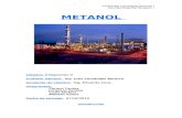 monografia metanol!