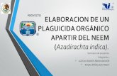 ELABORACION DE UN PESTICIDA ORGANICO APARTIR DEL NEEM- SEMINARIO DE PROYECTOS.pdf