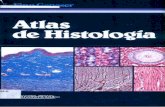 Atlas de Histologia Geneser.