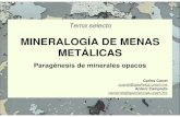 Mineralogia en Menas Metalicas