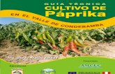 Manual Técnico Cultivo de Páprika en Valle Interandino