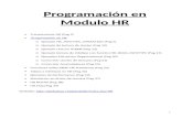 HR06 - Ejemplos de Programacion Hr.doc