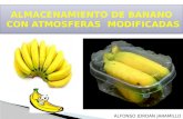 Atmosfera Modificada en Banano Diapositivas Inteligencia Artificial