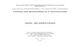 Guia Prac Bioquimoca Dr. Ramirez 2005-II