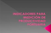 INDICADORES PARA MEDICIÓN DE PRODUCTIVIDAD PORTUARIA