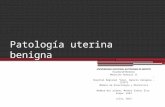 Patología uterina benigna