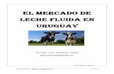 El mercado urguayo de leche fluida - Uruguay - Gabriel Peña