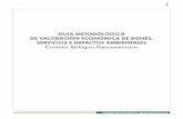 Barzev, R.(2002). Guía Metodológica de Valoración Económica de Bienes y Servicios Ambientales (1)