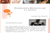 Patología Benigna y Maligna de la mama