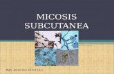 Micosis subcutanea