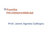Diapositivas Tema 32. Picornavirus. Gastroenteritis Virales