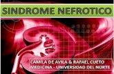 sindrome nefro