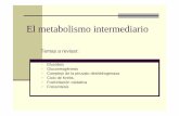 Clase 9 Metabolismo Intermediario