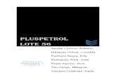 PLUSPETROL LOTE 56. finaldocx