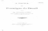 A Fauna Das Formigas Do Brazil Pelo Dr Augusto Forel - 1895 IDX