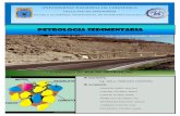Petrologia Sedimentaria-Rocas Detriticas