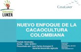Cacao Colombiano
