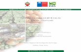 boletin Nuevas Fichas Hortícolas 3° Edición.pdf