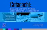 Cotacachi: derecho a la tierra frente a urbanizaciones y especulación