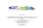 Informe Final Salar de Pedernales.pdf
