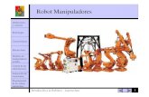 Morfologia Del Robot Manipulador